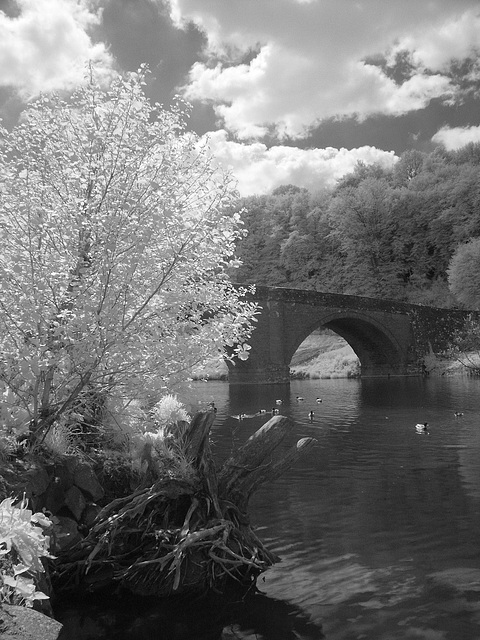 Dinham Bridge