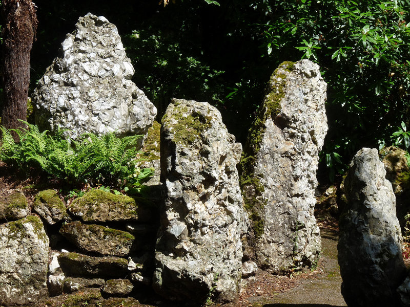 Bicton Gardens- The Fernery