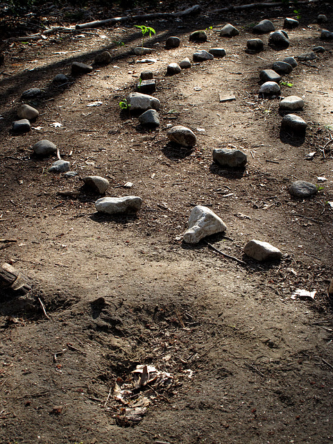 Labyrinth in the  Woods