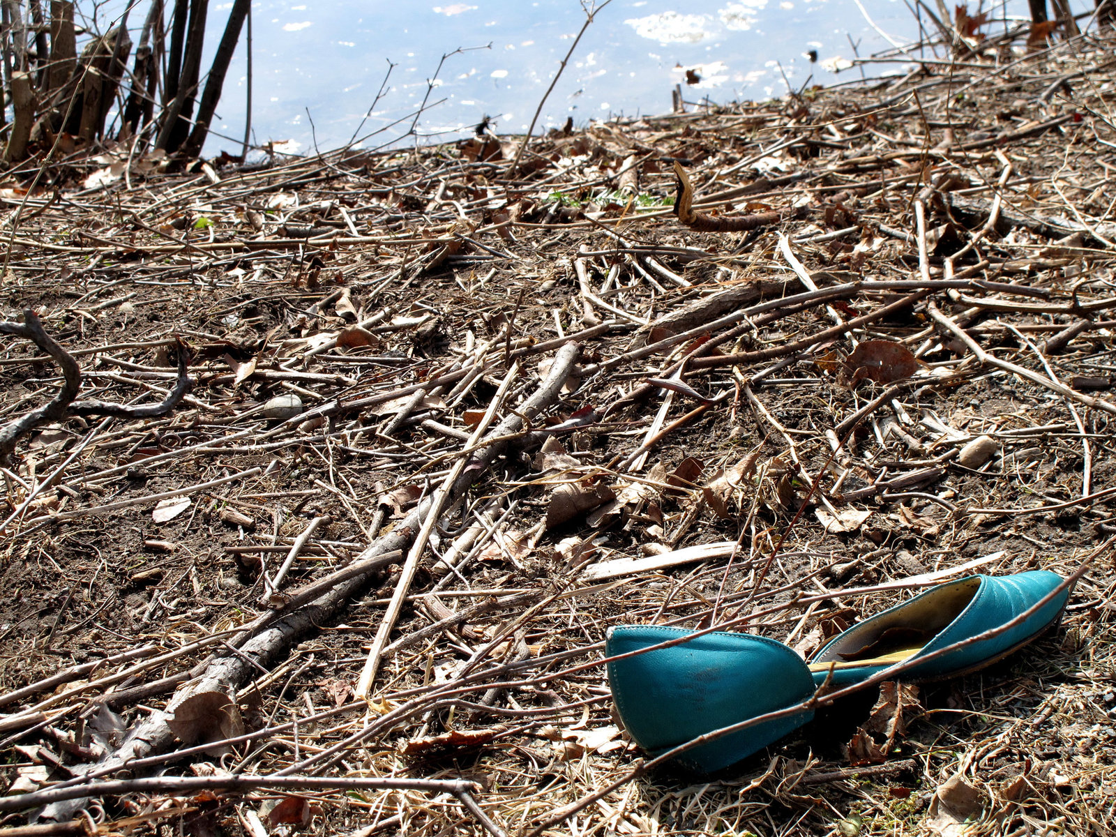 Lost Blue Shoe