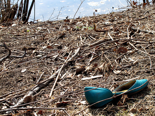 Lost Blue Shoe