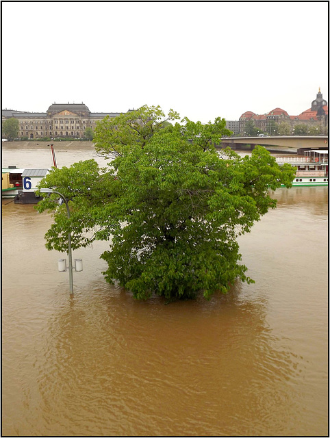 Dresden 04.06.2013 029