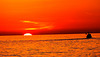 DSCF2047