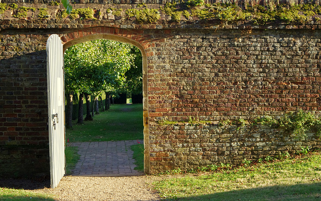 door in the wall