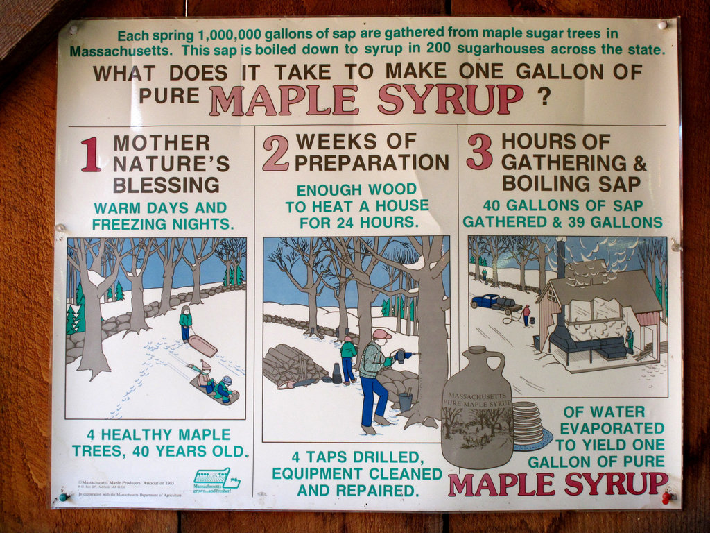 What It Takes to Make Maple Syrup