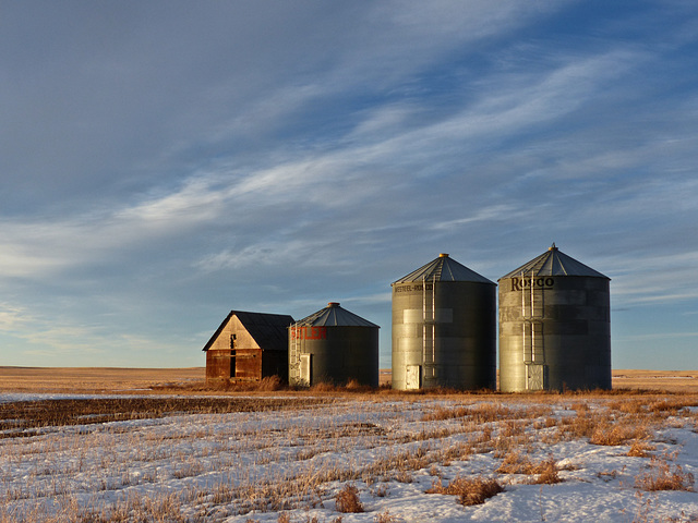 Love Alberta