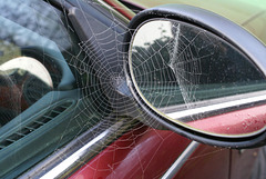 oaw - spiderweb