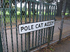 Pole Cat Alley