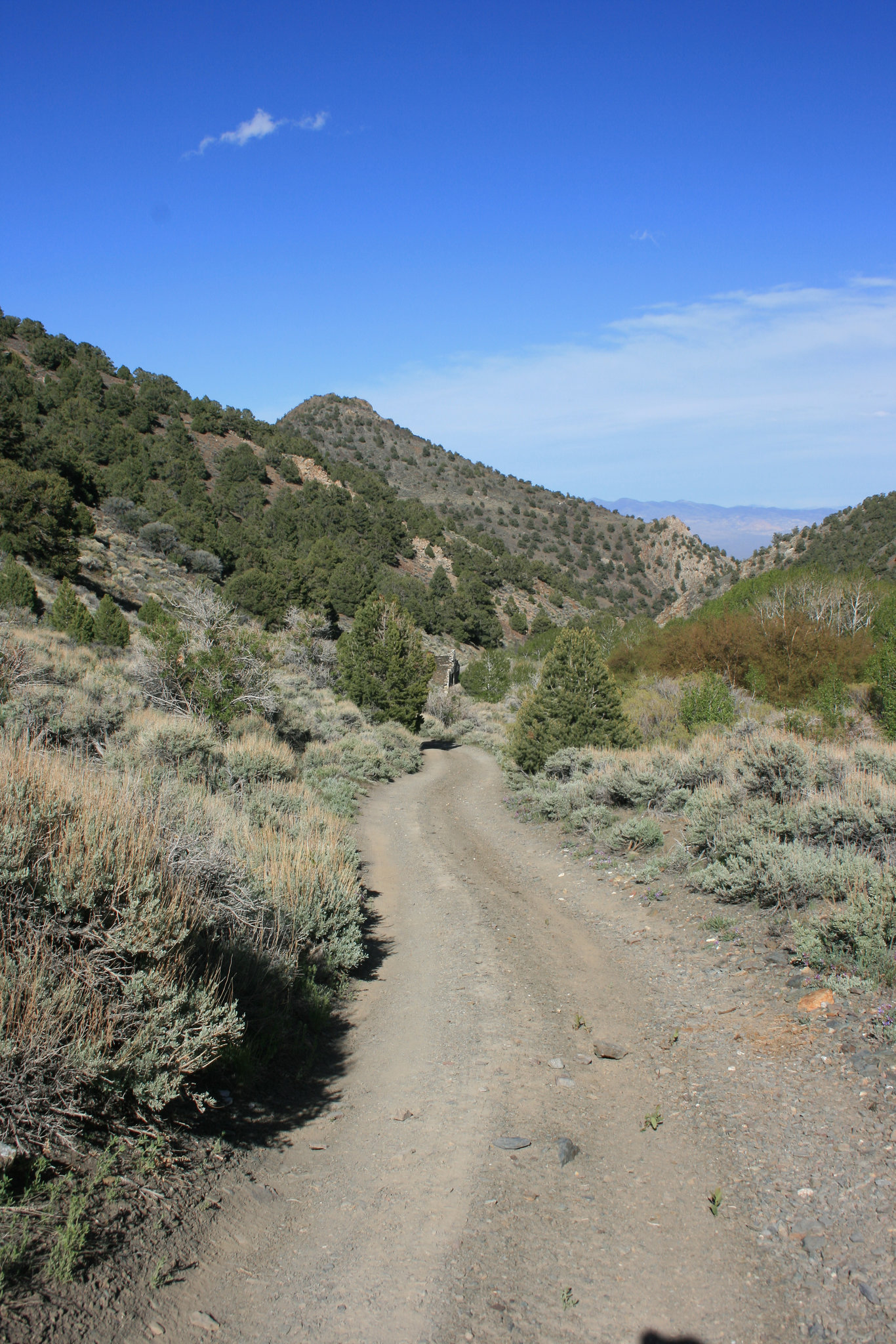IMG 7897