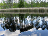 Broad Creek reflections