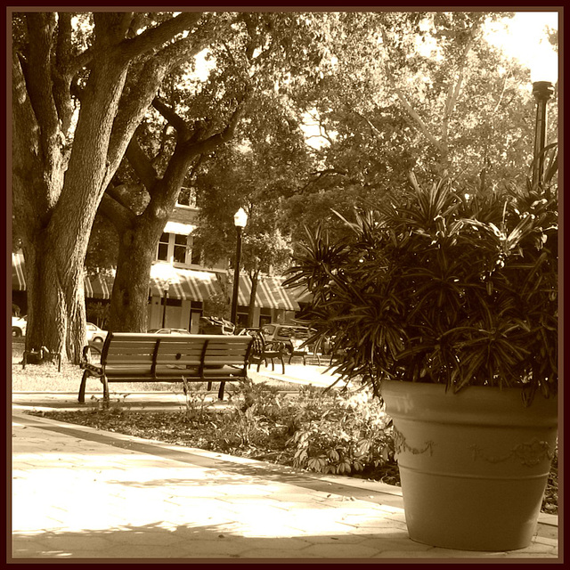 Bench in sepia ..