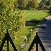 the road to (or from) Penshurst Place