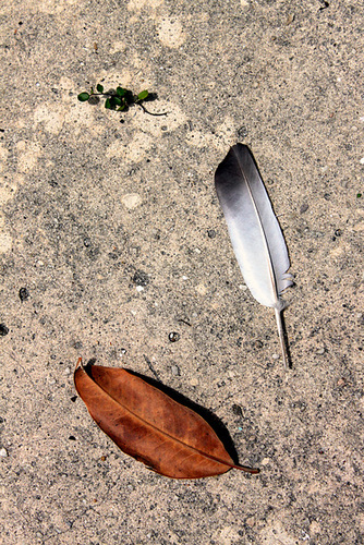 Sidewalk, Middle Street