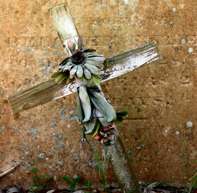 "Old rugged cross"