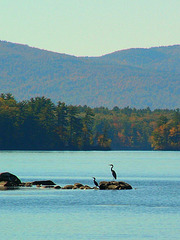 Fall View