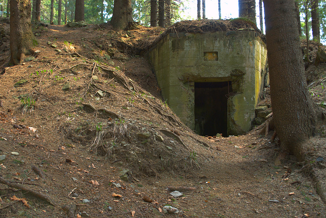 ein Bunker der Arpad-Linie