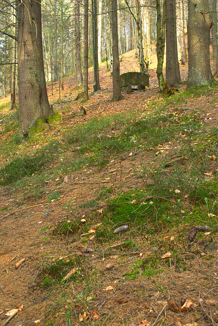 ein Bunker der Arpad-Linie