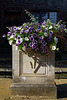 planter with heraldic device