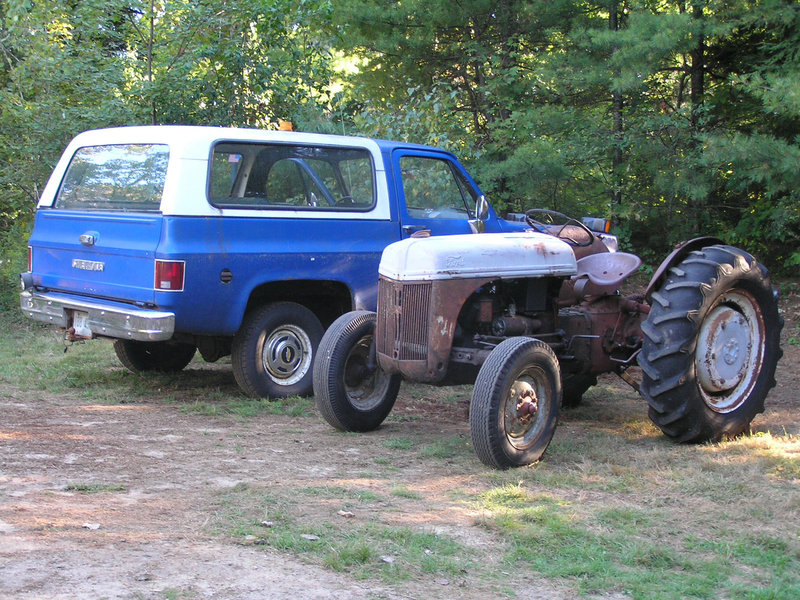 My Favorite Beasts
