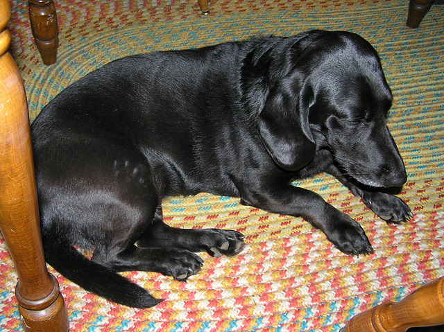 Macy, after the 'attack'.