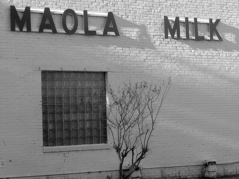 Maola Milk