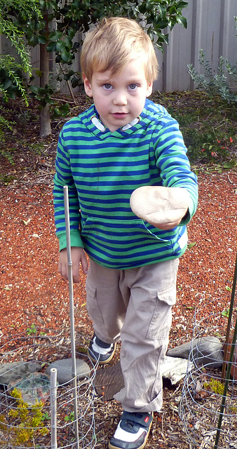 Learning about fungi