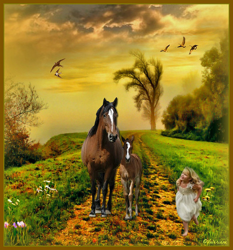 Cours vers les chevaux !