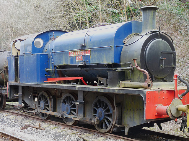 'Littleton' No. 5 Saddle Tank Engine