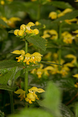 20130505-DSC00109