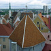 Tallinn- Rooftops from the Kohtuosta Viewing Platform