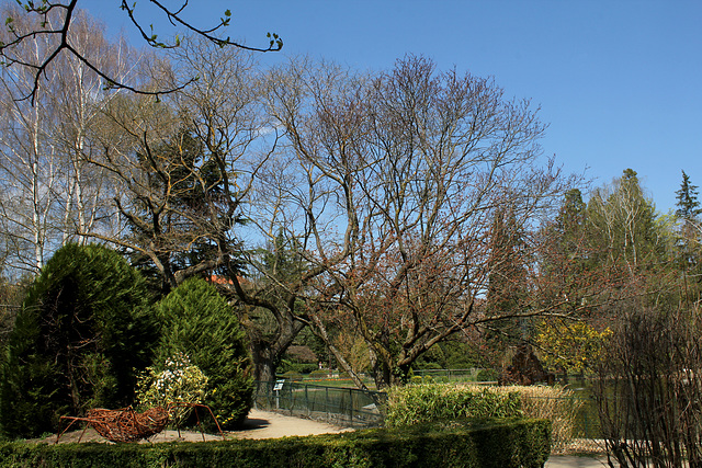 Jardin Vinay