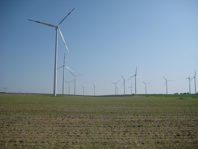 Windstille bei Lüdersdorf