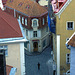Tallinn- Lower Town from the Kohtuosta Viewing Platform