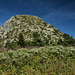 Mont Gerbier de Jonc