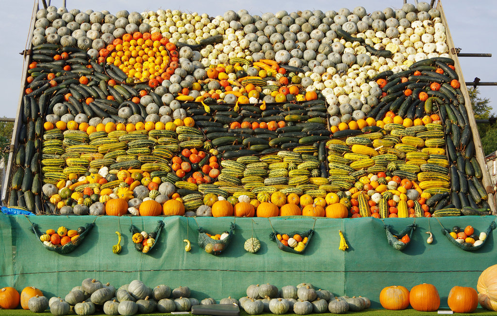 wheelbarrow