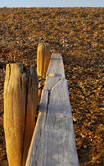 groyne 1