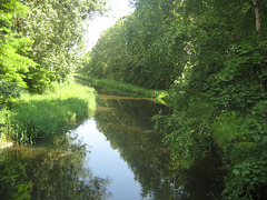 Die Nieplitz im Naturpark Nuthe-Nieplitz