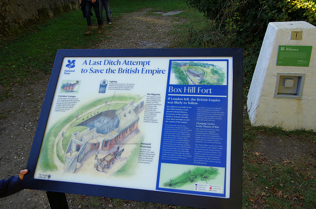 Box Hill Fort