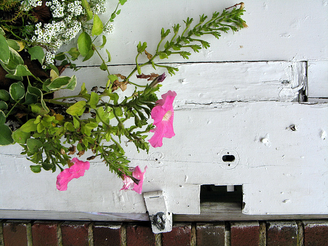 Detail, Edgartown door