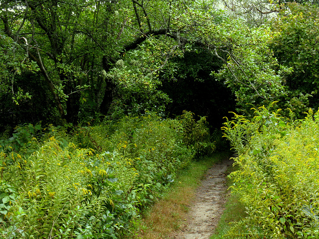 Sheriff's Meadow Sanctuary