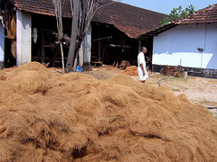 Coir- The Raw Material