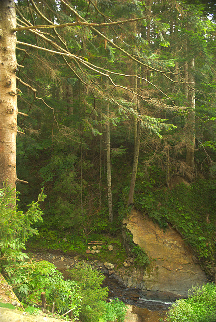 ein Wald in der Nähe der Manjawa