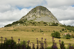 Autour du Mont Gerbier de Jonc