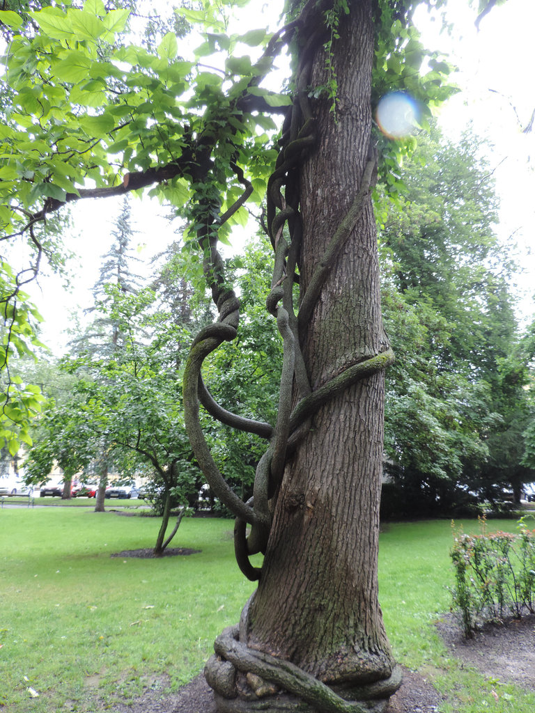 Park in Villach/Kärnten