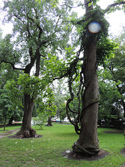 Park in Villach/Kärnten