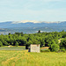 Haute Provence, view on the Mont Ventoux