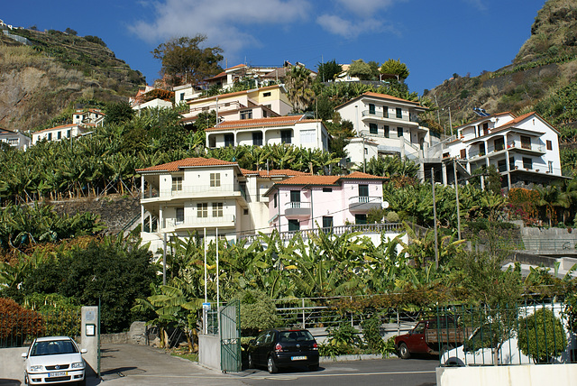 Tour: Paso Encumeada - Paul da Serra - Porto Moniz - Funchal  ©UdoSm