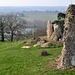 Ruines du Château de St-Rémy-du-Val - Sarthe