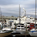 Moss Landing Harbor