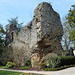 Vestiges du donjon de la Fresnay-sur-Sarthe